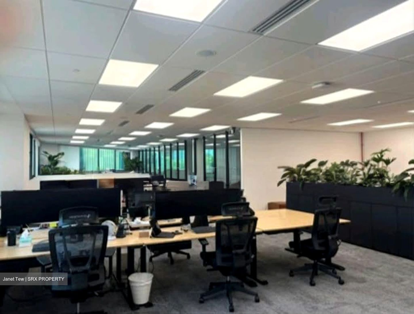 Pwc Building (D1), Office #601325141